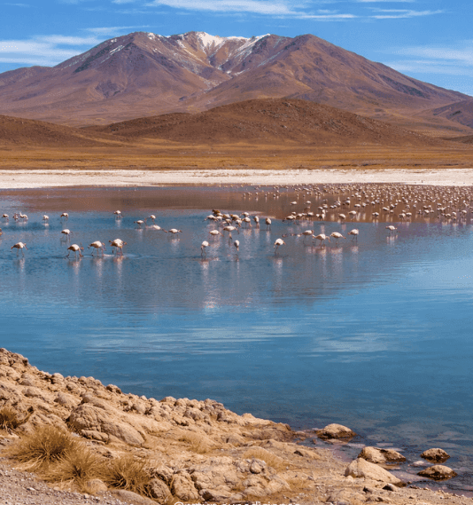 Uyuni