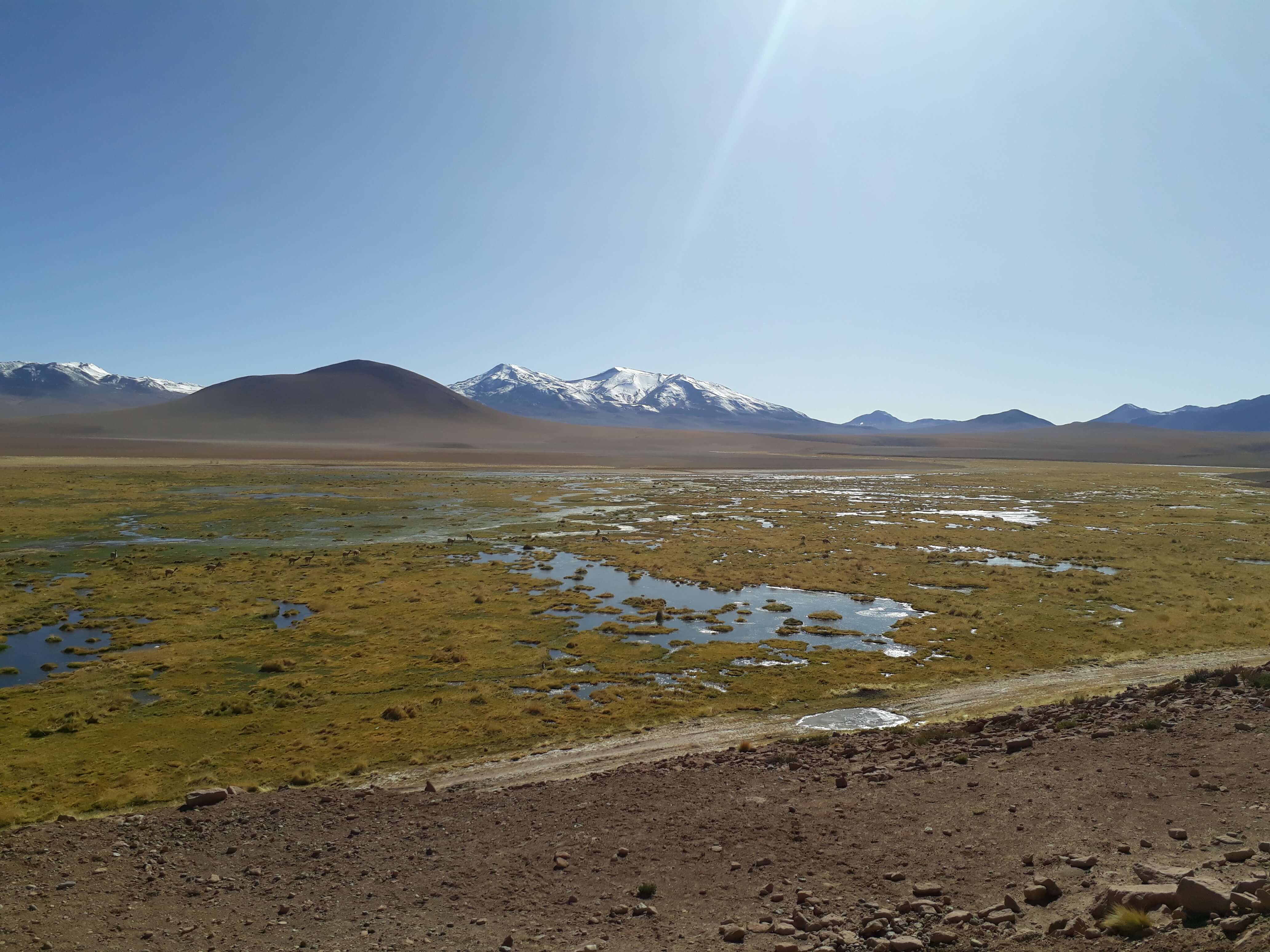 Geysers del Tatio